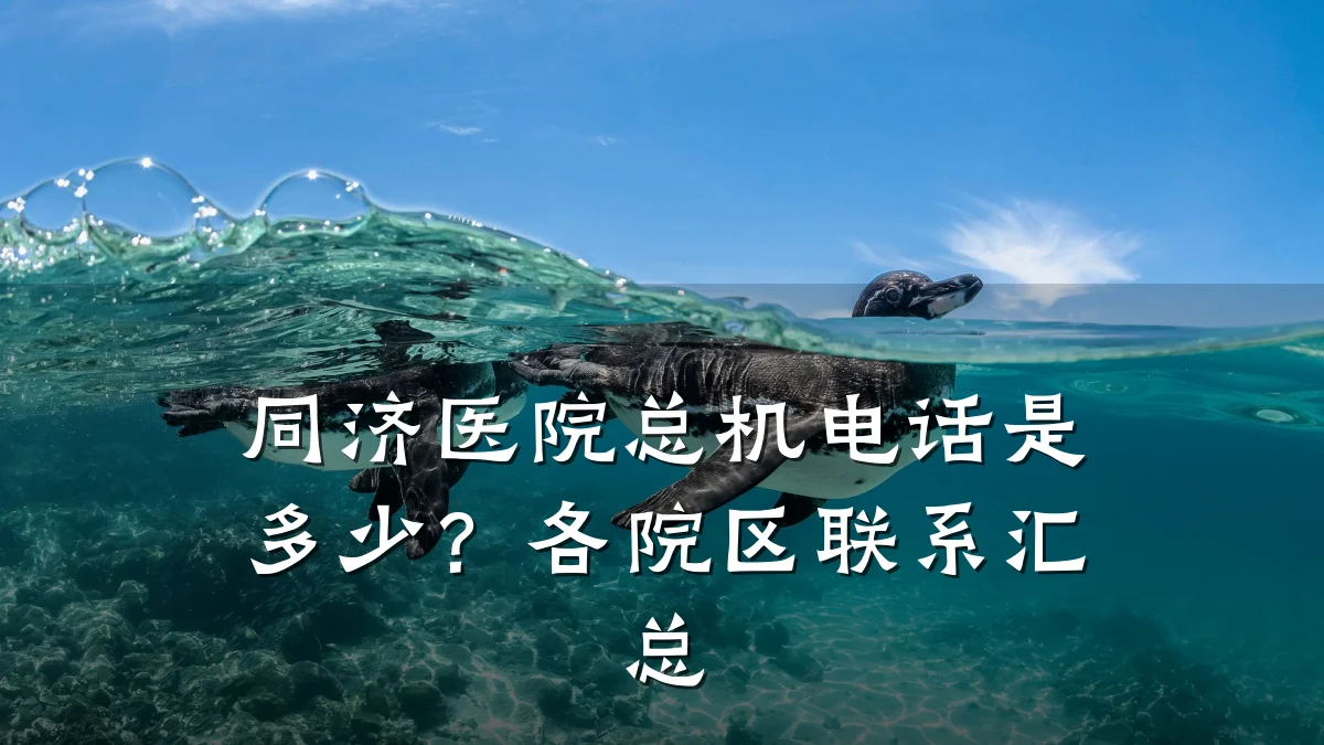 同济医院总机电话是多少?各院区联系汇总