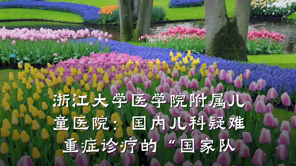 浙江大学医学院附属儿童医院：国内儿科疑难重症诊疗的“国家队