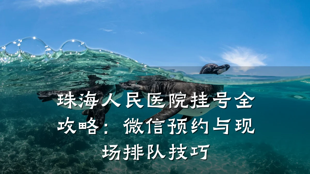 珠海人民医院挂号全攻略:微信预约与现场排队技巧