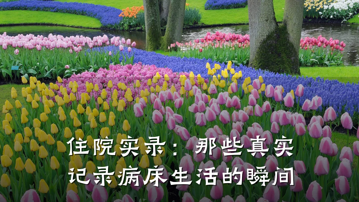 住院实录：那些真实记录病床生活的瞬间