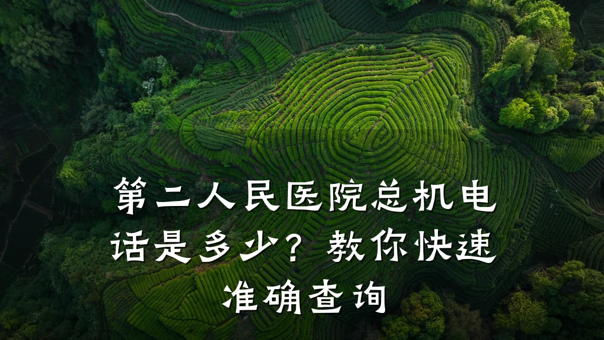 第二人民医院总机电话是多少?教你快速准确查询