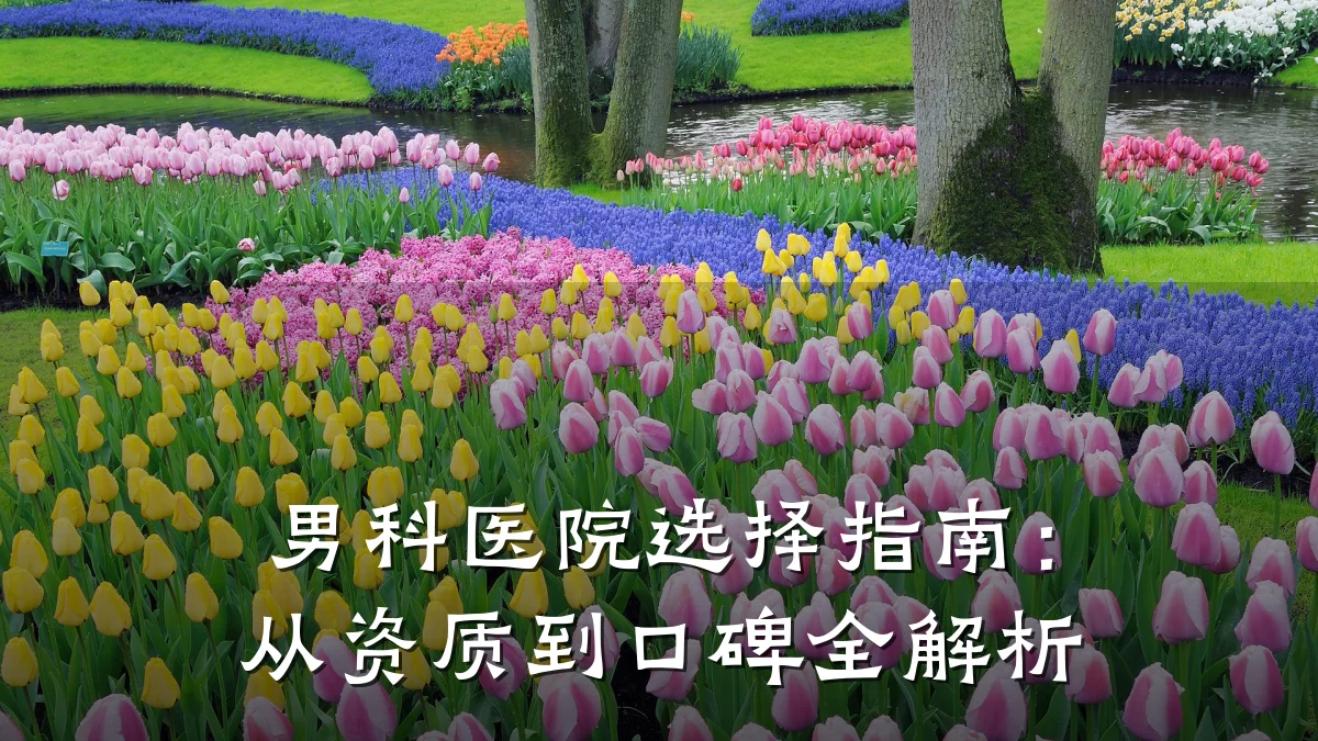 男科医院选择指南:从资质到口碑全解析