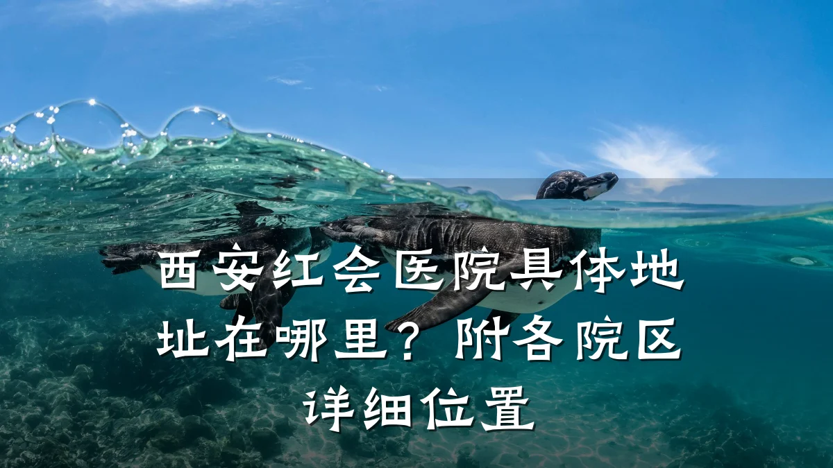 西安红会医院具体地址在哪里？附各院区详细位置
