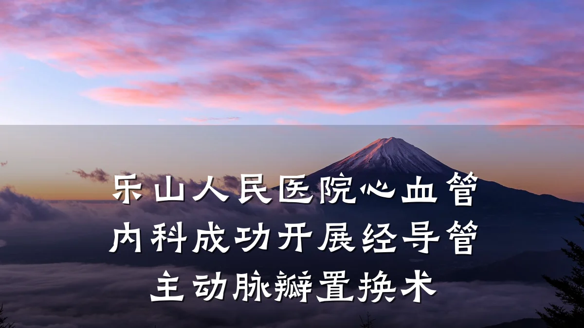 乐山人民医院心血管内科成功开展经导管主动脉瓣置换术