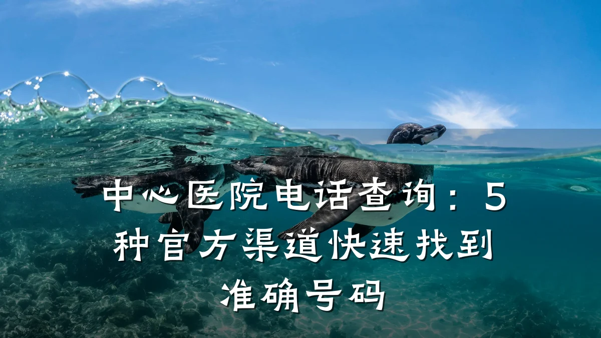 中心医院电话查询:5种官方渠道快速找到准确号码