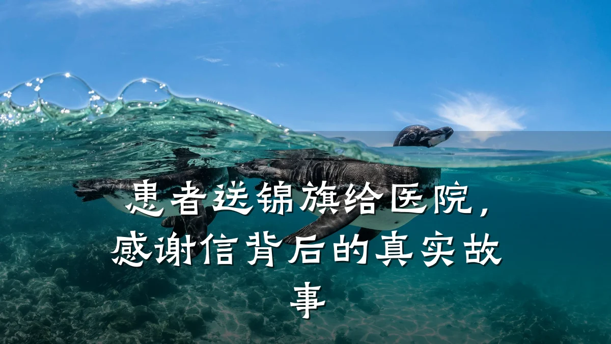 患者送锦旗给医院,感谢信背后的真实故事