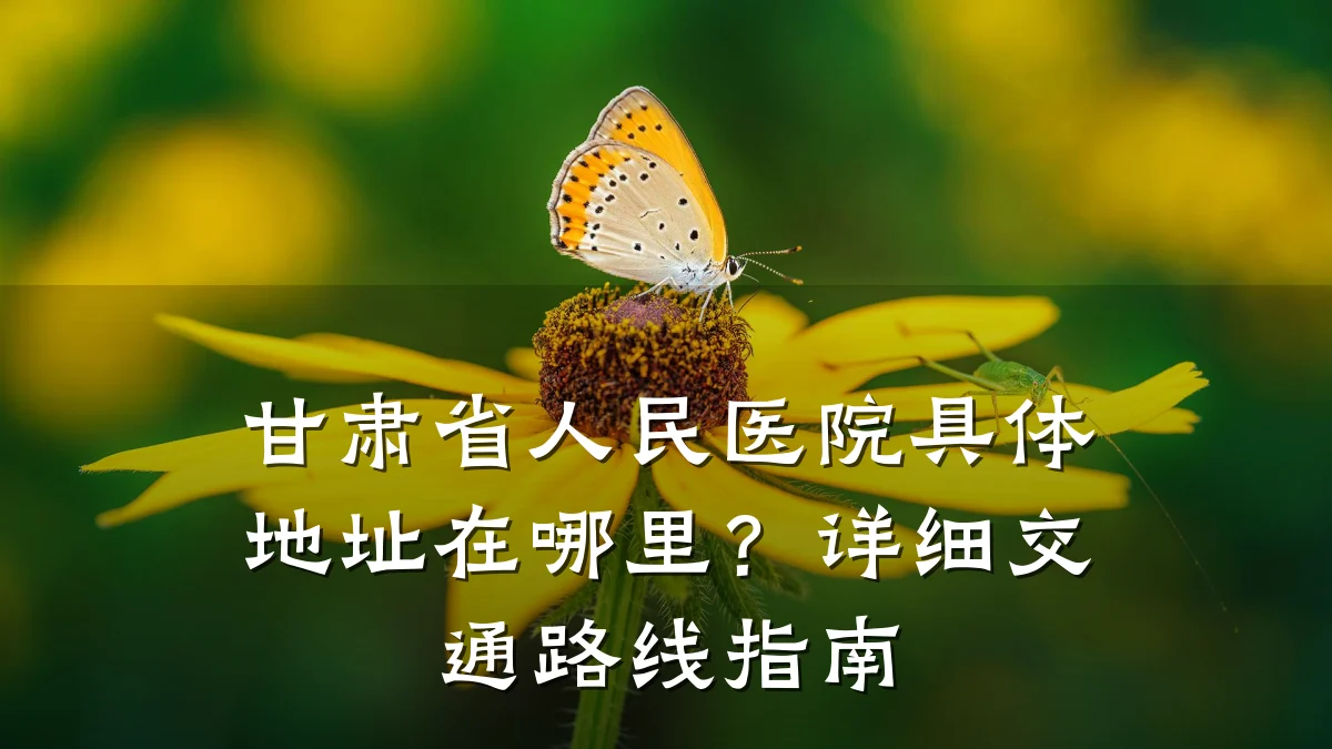 甘肃省人民医院具体地址在哪里?详细交通路线指南