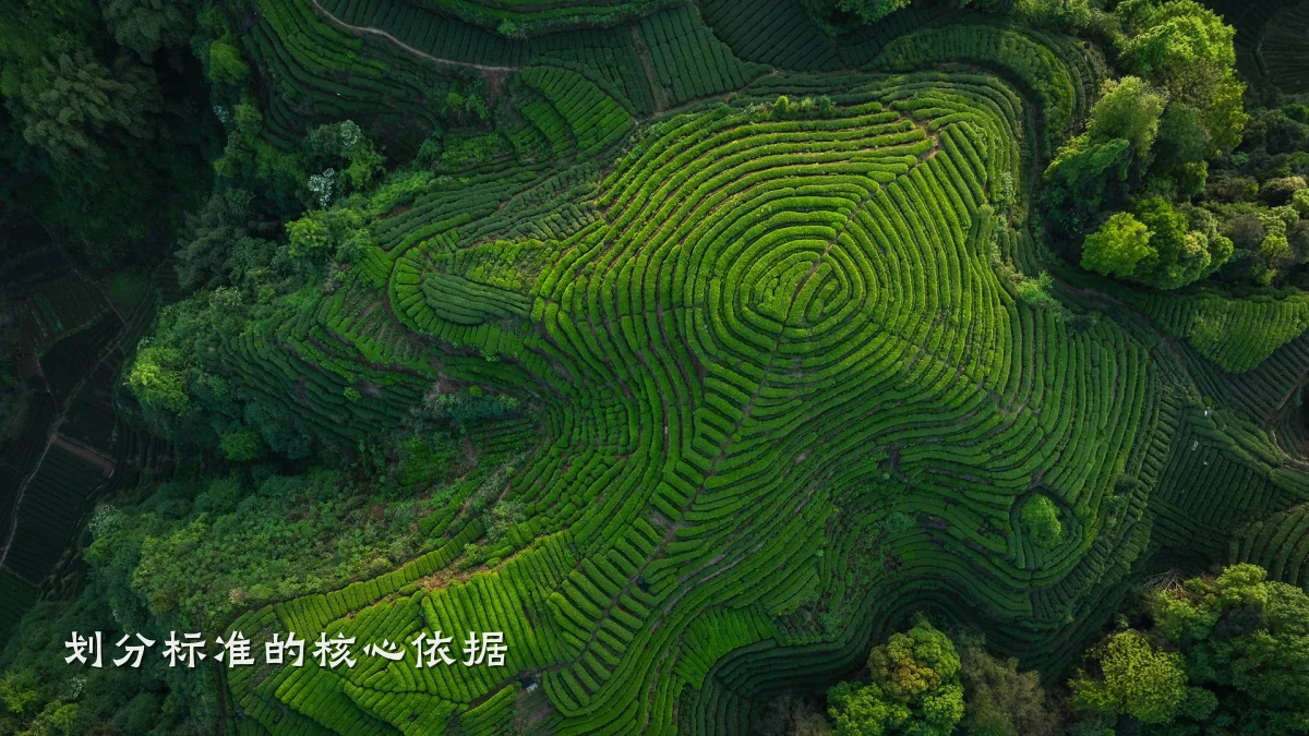 划分标准的核心依据