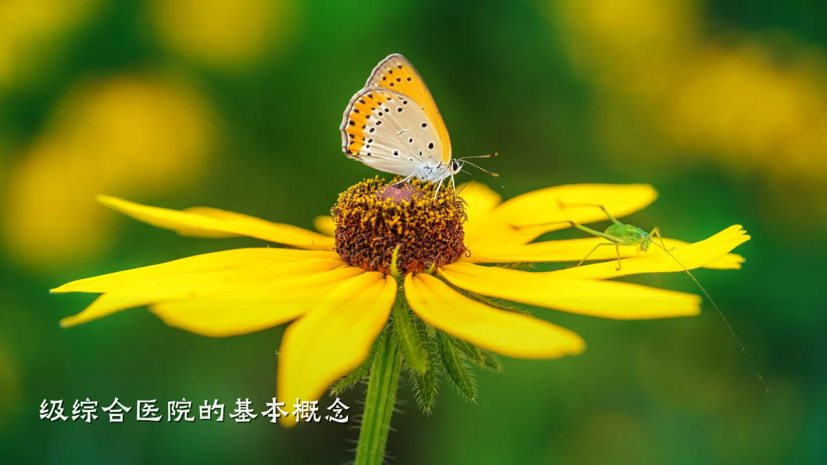 级综合医院的基本概念