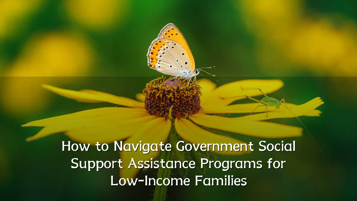 How to Navigate Government Social Support Assistance Programs for Low-Income Families
