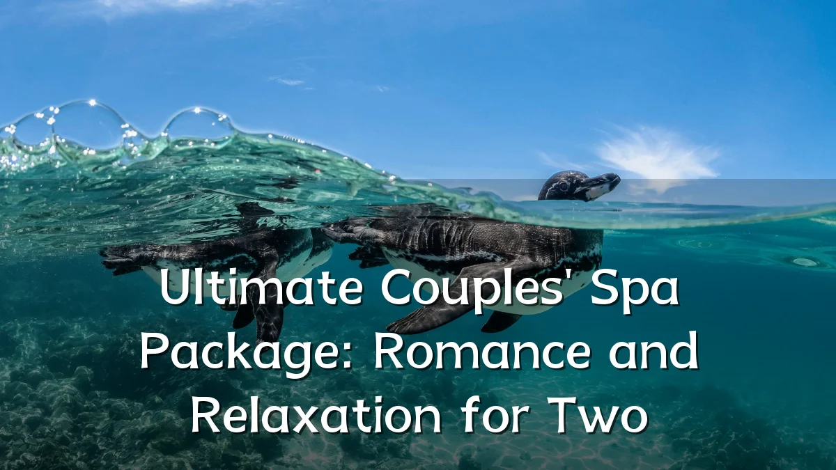 Ultimate Couples' Spa Package: Romance and Relaxation for Two