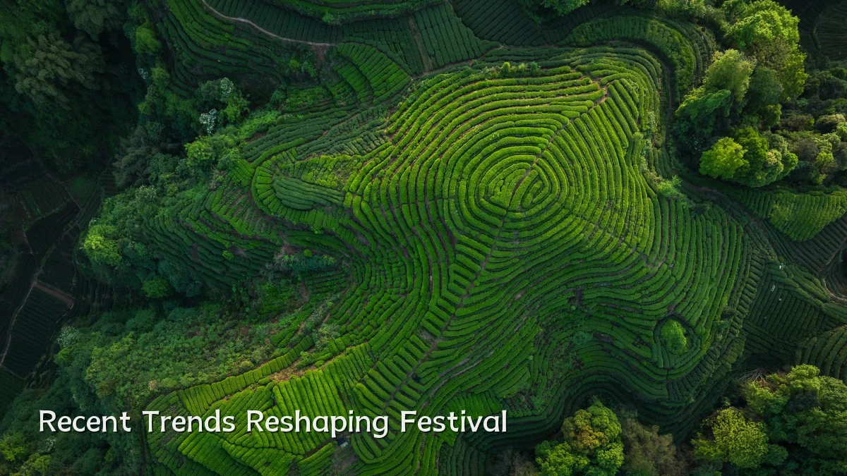Recent Trends Reshaping Festival