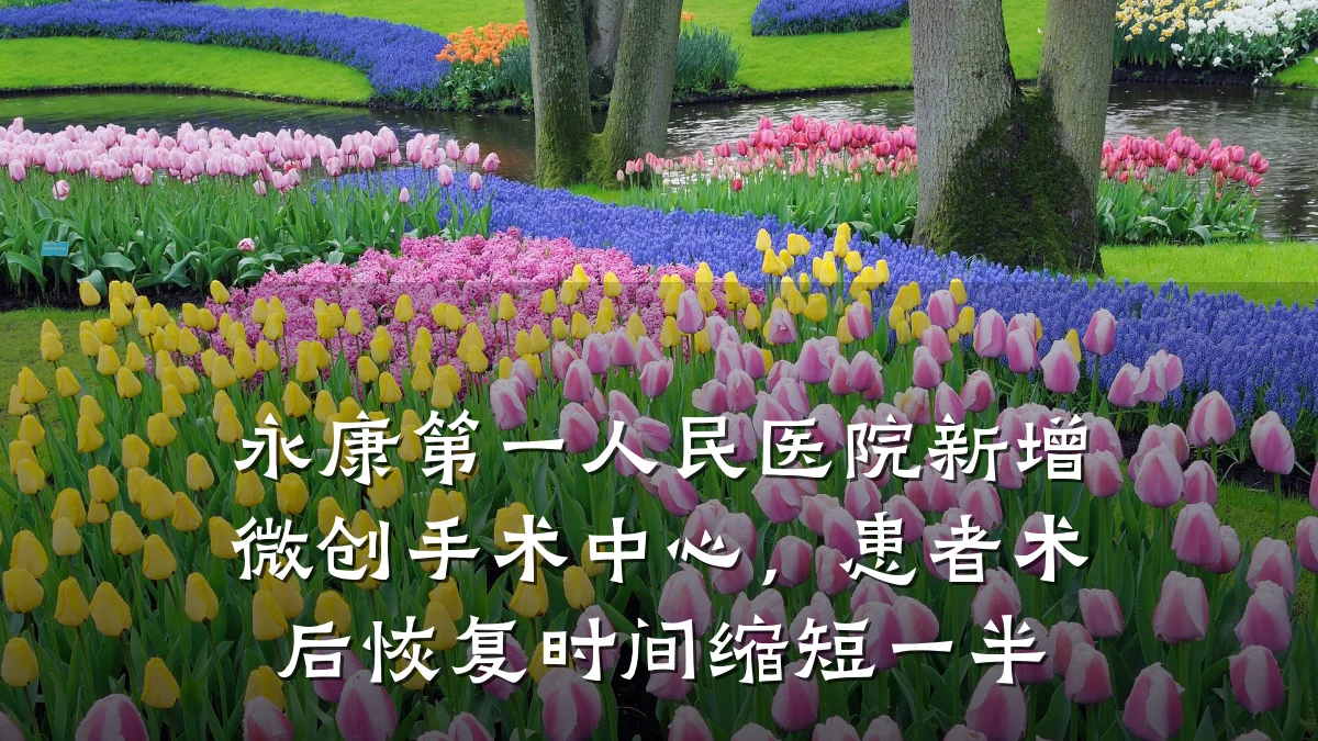 永康第一人民医院新增微创手术中心,患者术后恢复时间缩短一半