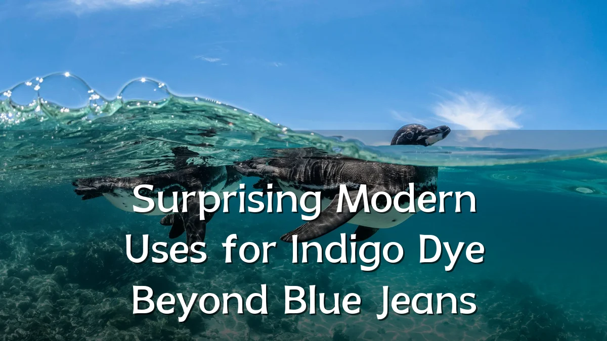 Surprising Modern Uses for Indigo Dye Beyond Blue Jeans