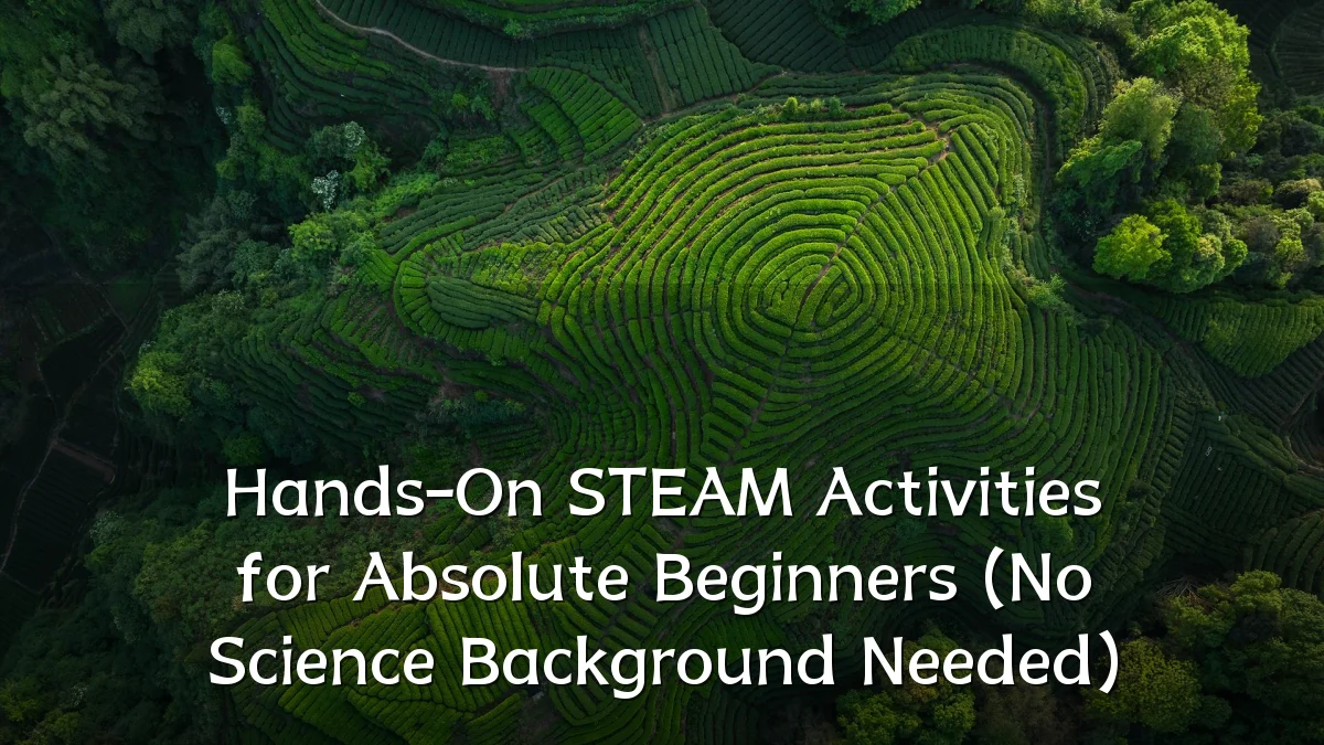 Hands-On STEAM Activities for Absolute Beginners (No Science Background Needed)