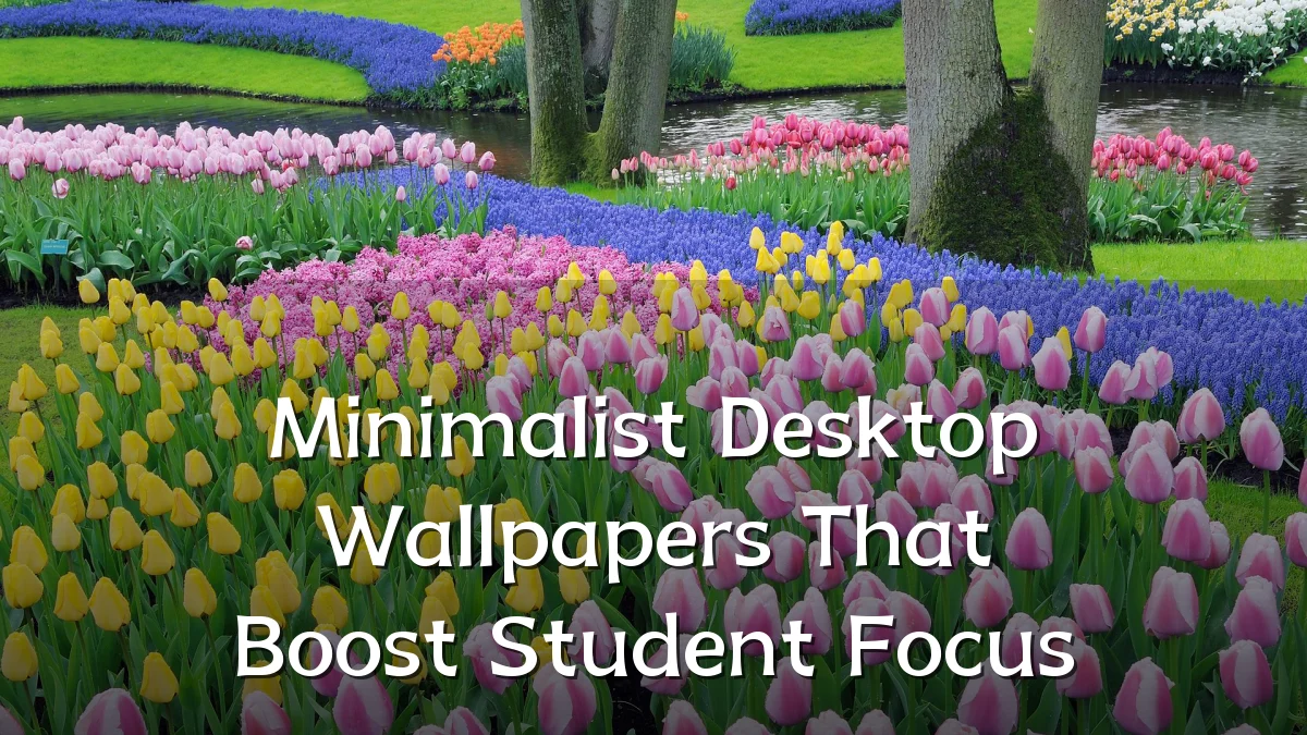 Minimalist Desktop Wallpapers That Boost Student Focus