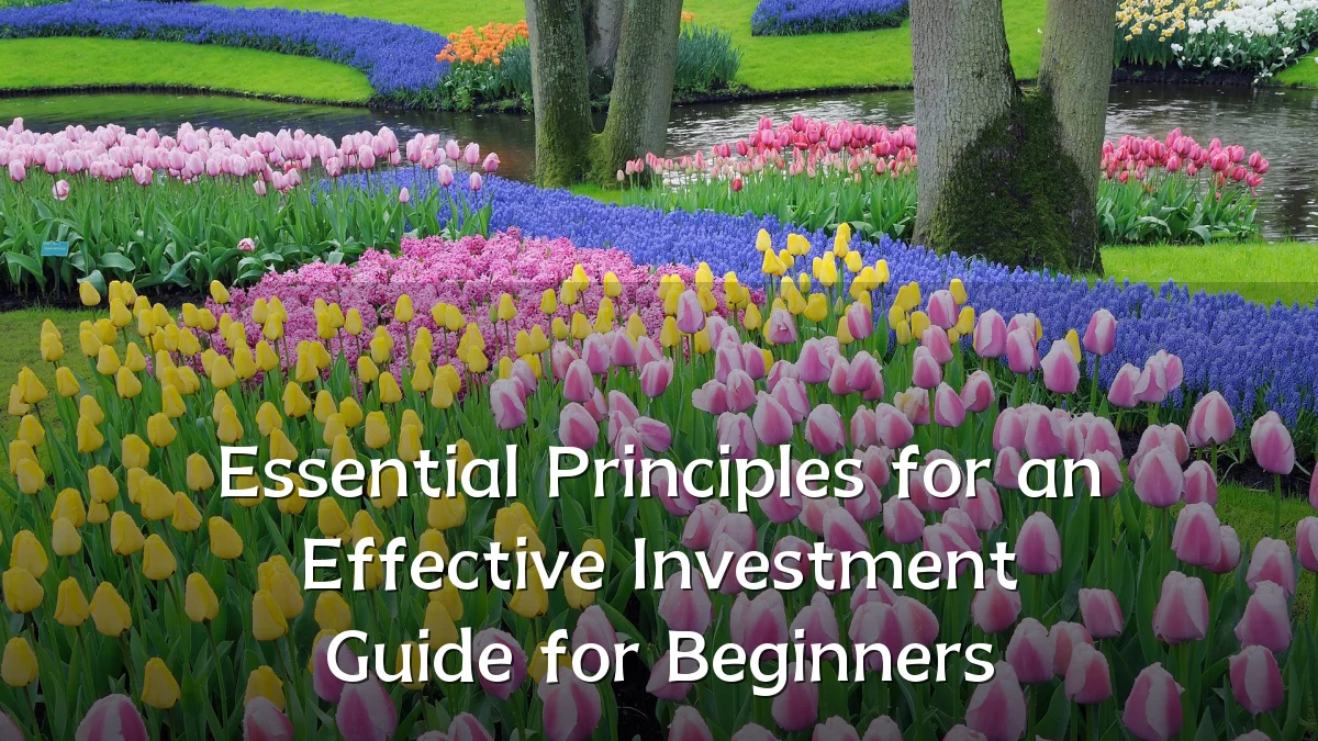 Essential Principles for an Effective Investment Guide for Beginners