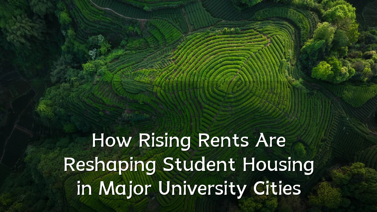 How Rising Rents Are Reshaping Student Housing in Major University Cities