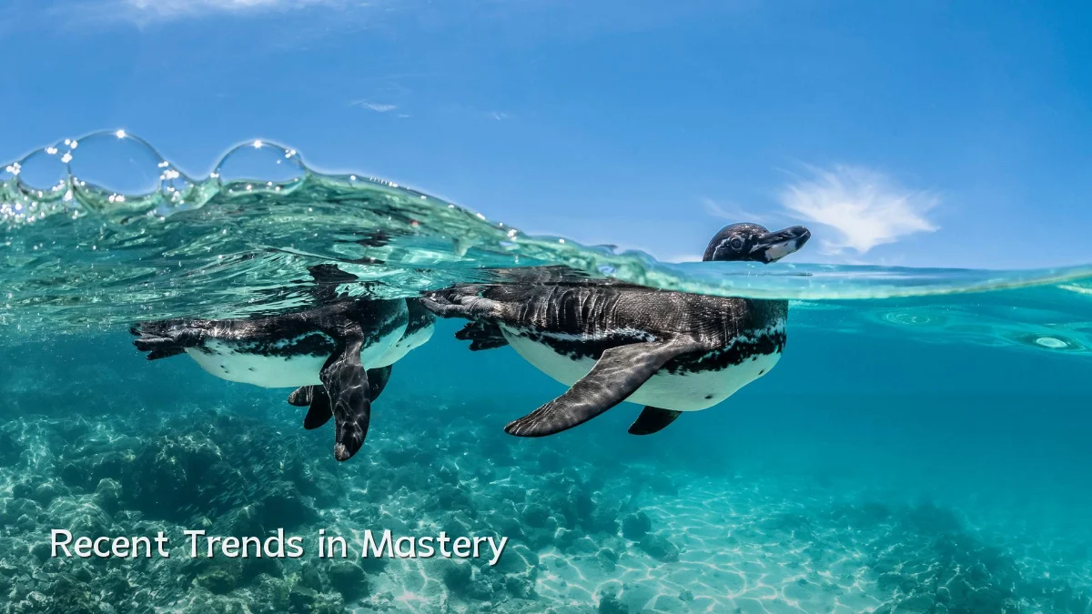 Recent Trends in Mastery