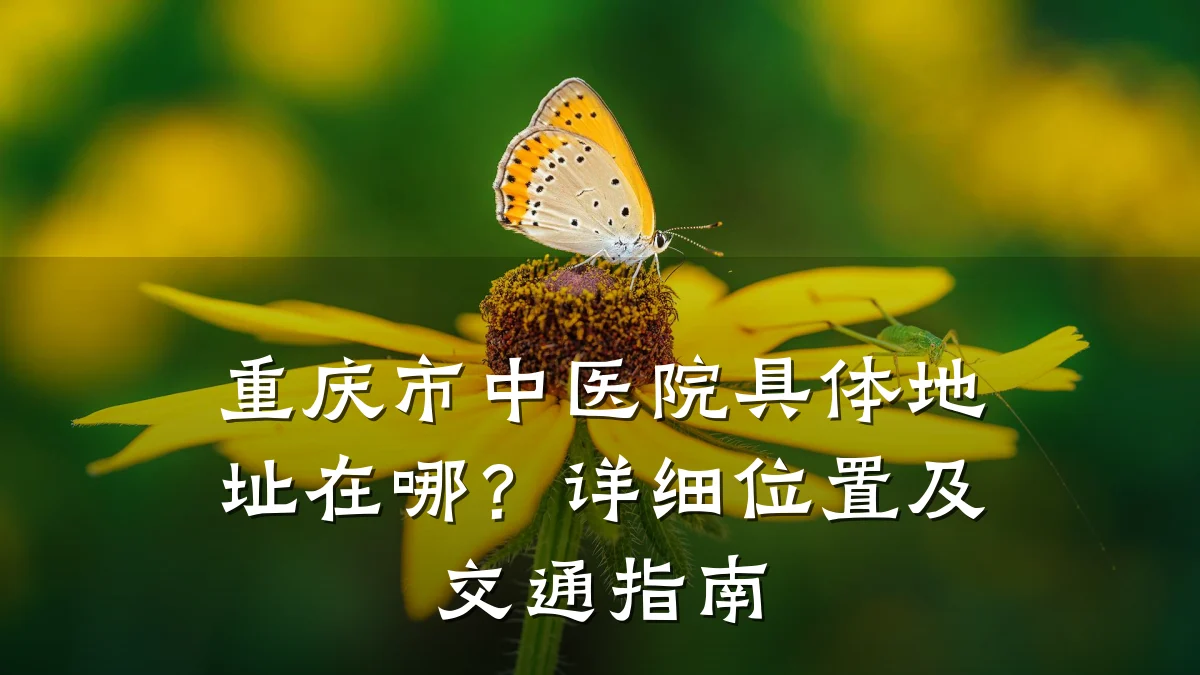 重庆市中医院具体地址在哪？详细位置及交通指南