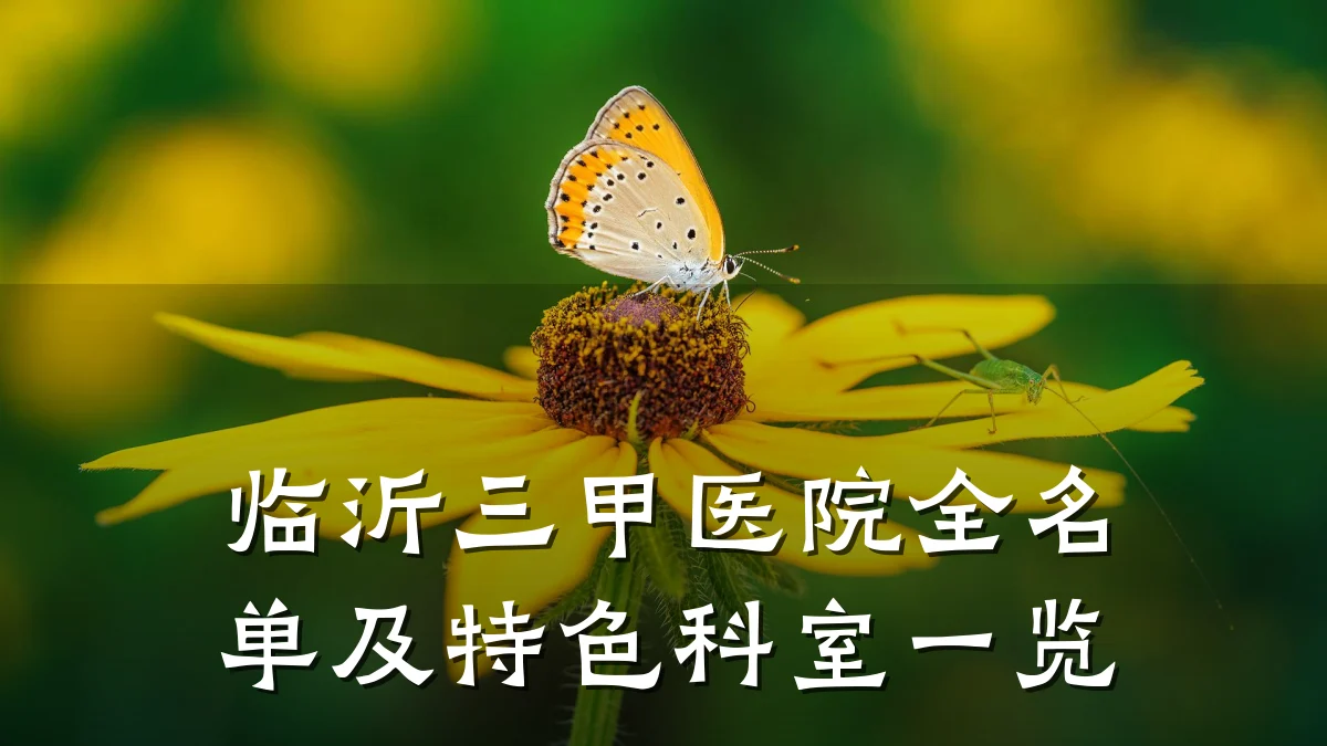 临沂三甲医院全名单及特色科室一览