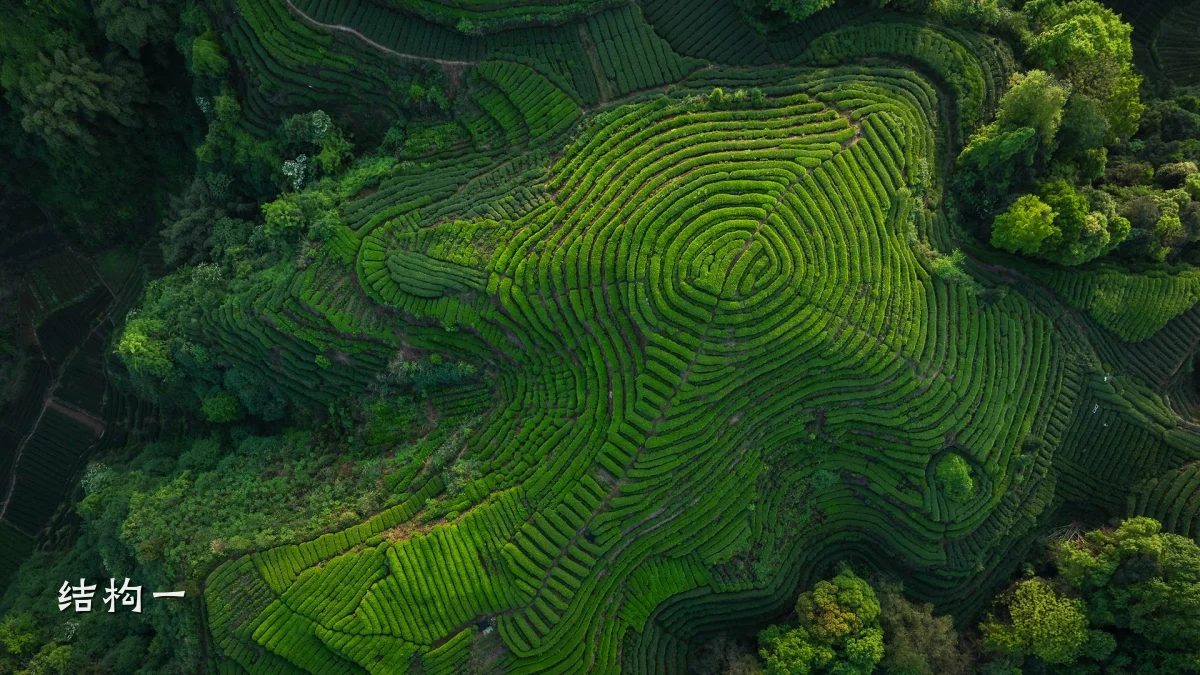 结构一