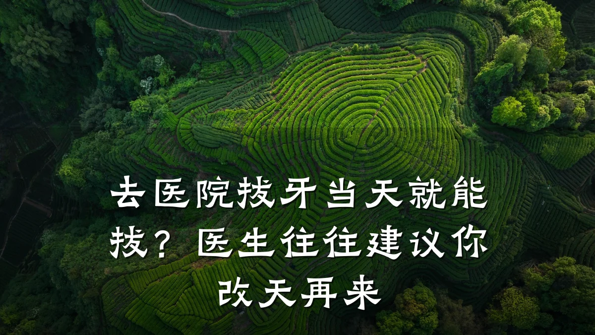 去医院拔牙当天就能拔？医生往往建议你改天再来