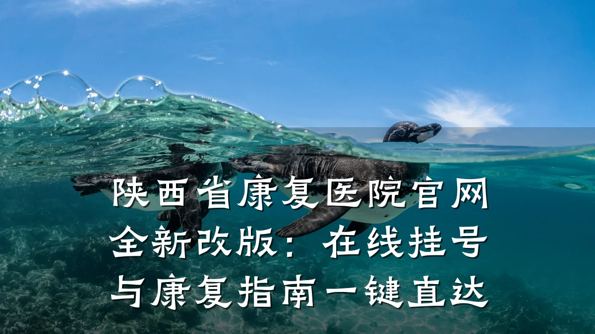 陕西省康复医院官网全新改版:在线挂号与康复指南一键直达