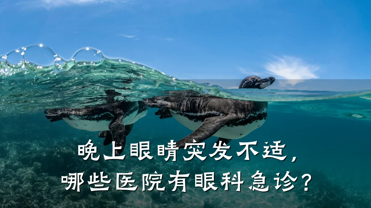 晚上眼睛突发不适，哪些医院有眼科急诊？