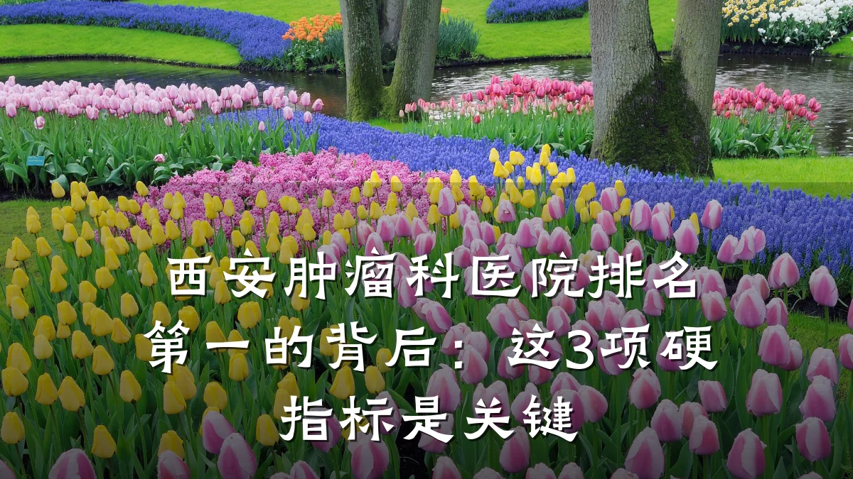西安肿瘤科医院排名第一的背后:这3项硬指标是关键
