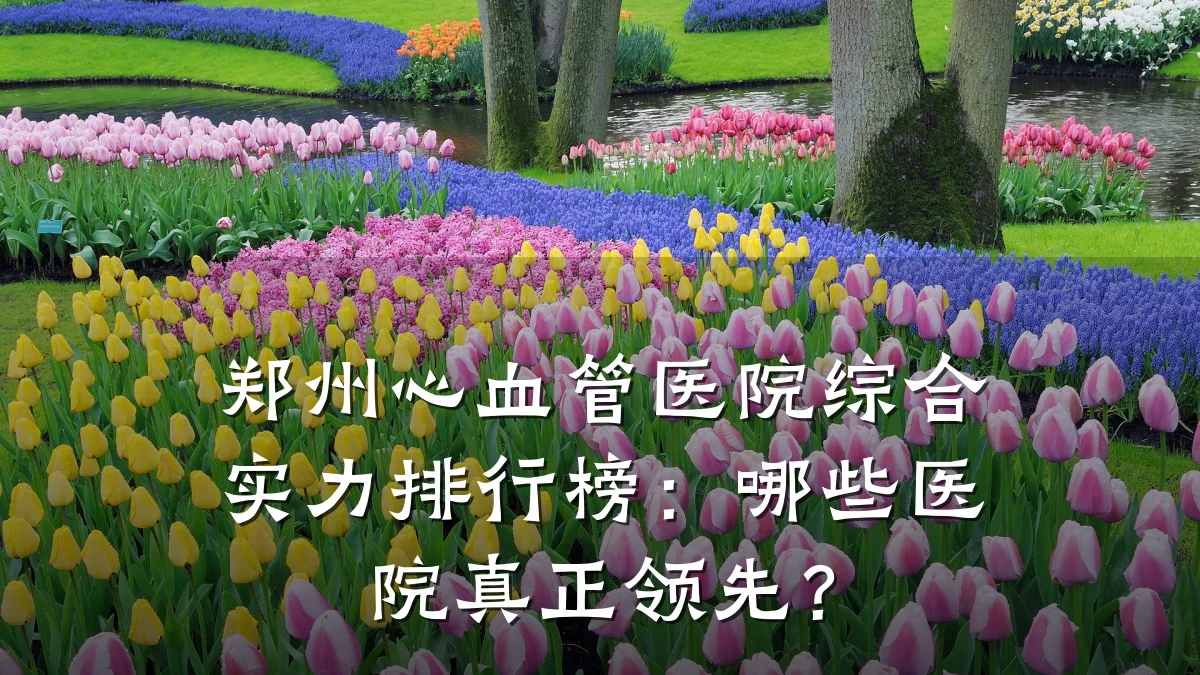 郑州心血管医院综合实力排行榜：哪些医院真正领先？