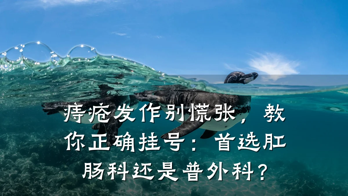 痔疮发作别慌张，教你正确挂号：首选肛肠科还是普外科？