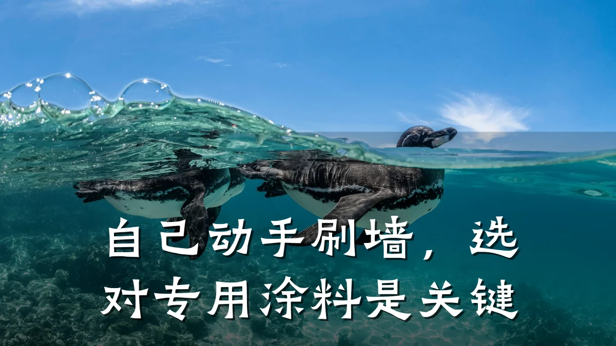 自己动手刷墙，选对专用涂料是关键